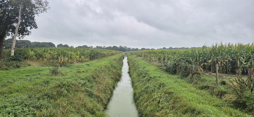 Wandeling over Trage Tocht Holten