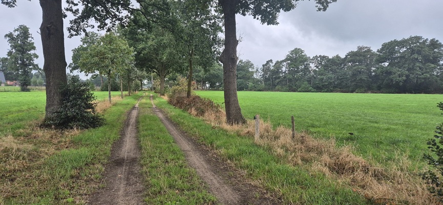 Wandeling over Trage Tocht Holten