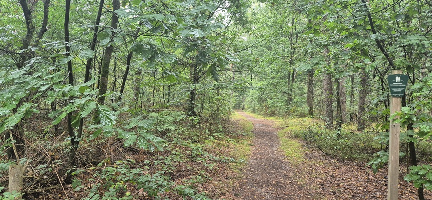 Wandeling over Trage Tocht Holten