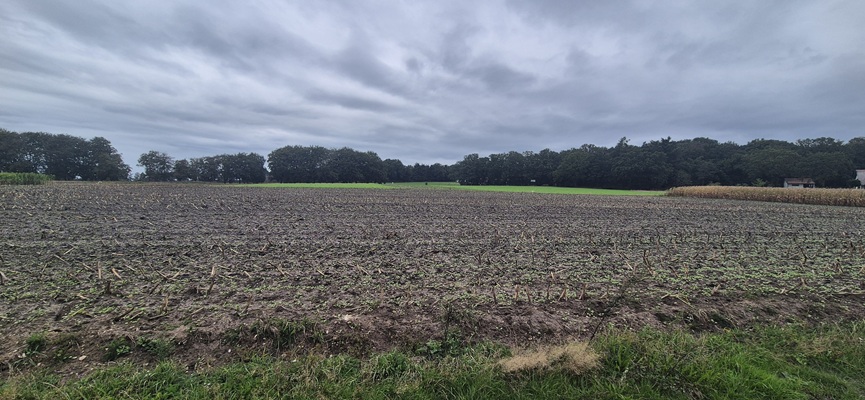 Wandeling over Trage Tocht Holten