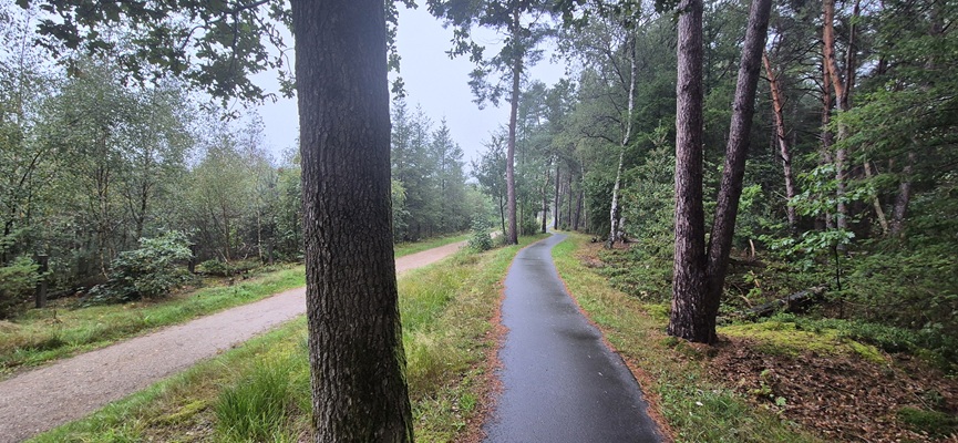 Wandeling over Trage Tocht Holten