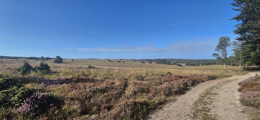 Wandeling over Trage Tocht Imbos bij het Rozendaalse Veld
