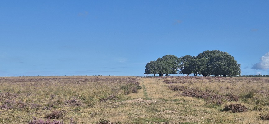 Wandeling over Trage Tocht Imbos bij de Terletse Heide