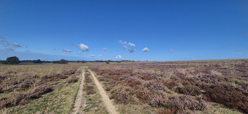 Wandeling over Trage Tocht Imbos bij de Terletse Heide