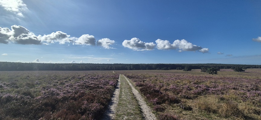 Wandeling over Trage Tocht Imbos bij de Terletse Heide