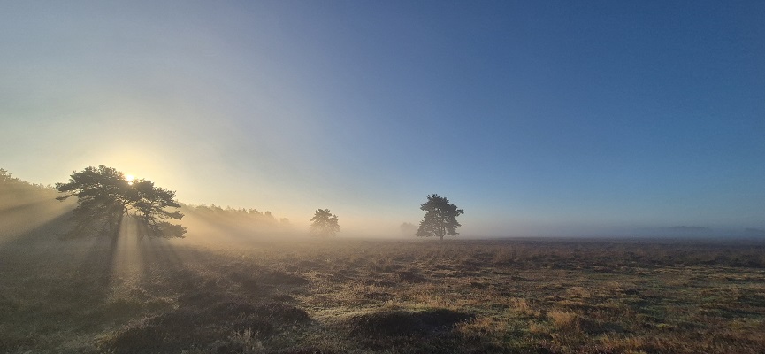 Wandeling over Trage Tocht Imbos bij de Terletse Heide