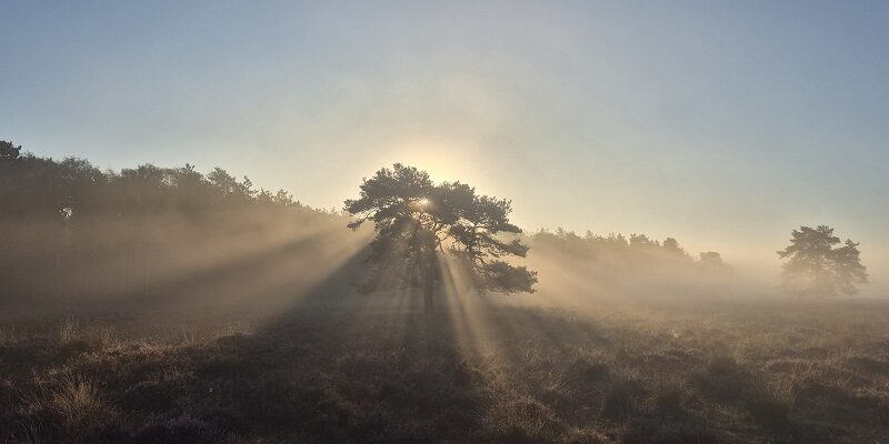 Wandeling over Trage Tocht Imbos bij de Terletse Heide
