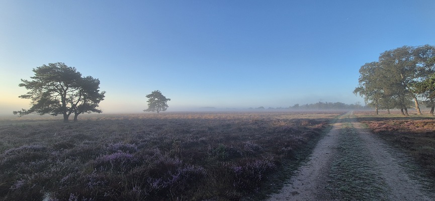 trage-tocht-imbos-6 Wandeling over Trage Tocht Imbos bij de Terletse Heide