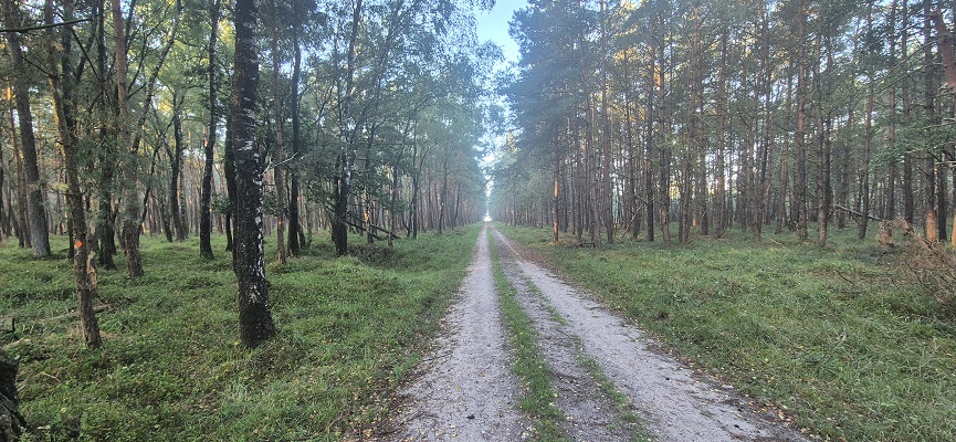 Wandeling over Trage Tocht Imbos