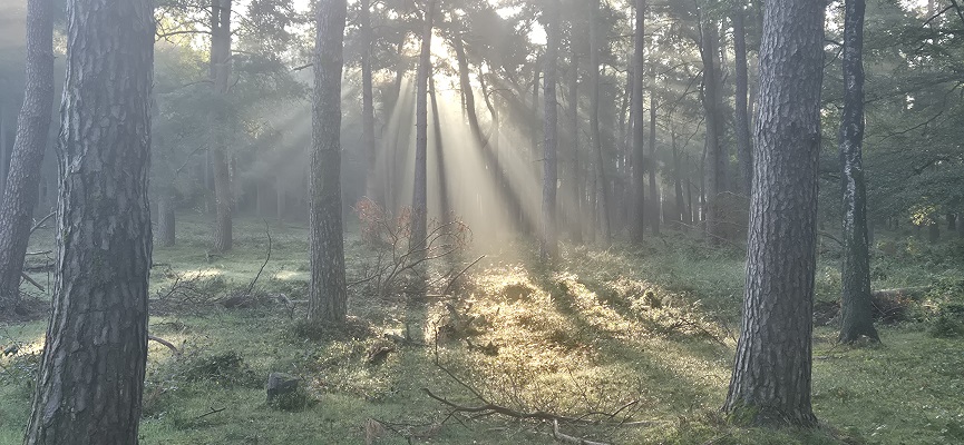 Wandeling over Trage Tocht Imbos