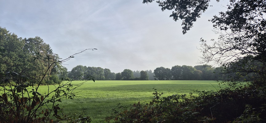 Wandeling over Trage Tocht Laren (GLD)