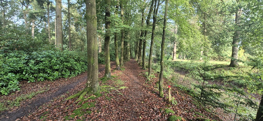 Wandeling over Trage Tocht Laren (GLD)