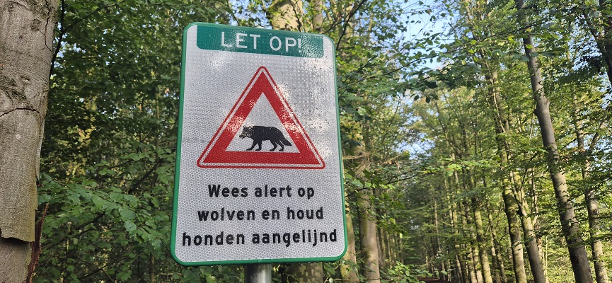 Wandeling over Trage Tocht Laren (GLD)