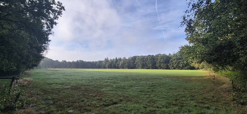 Wandeling over Trage Tocht Laren (GLD)