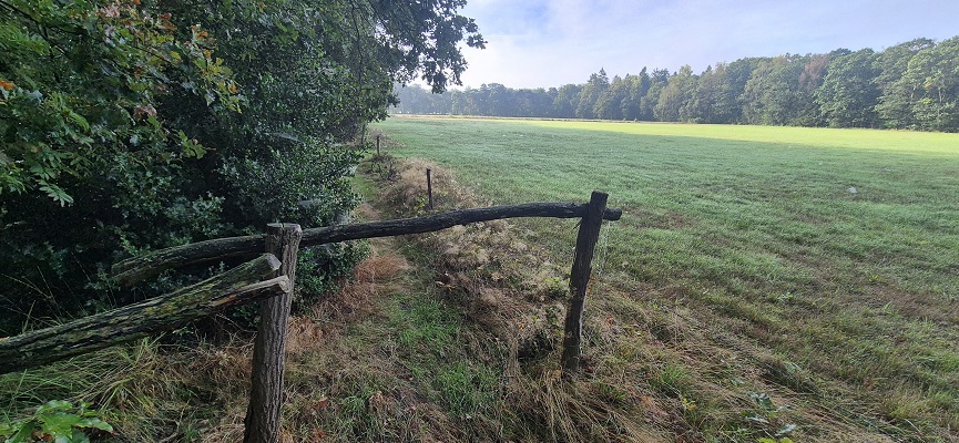 Wandeling over Trage Tocht Laren (GLD)