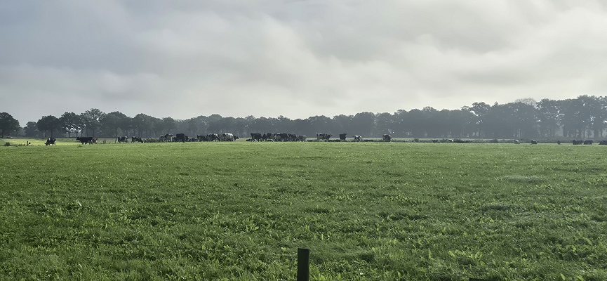 Wandeling over Trage Tocht Laren (GLD)