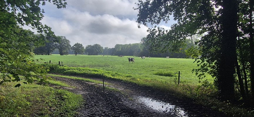 Wandeling over Trage Tocht Laren (GLD)