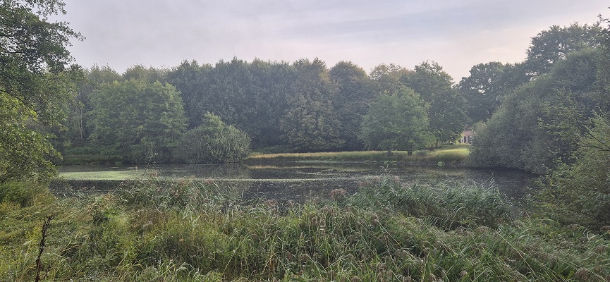 Wandeling over Trage Tocht Laren (GLD)