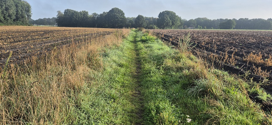 Wandeling over Trage Tocht Laren (GLD)