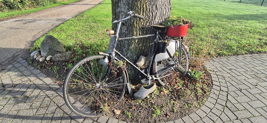 Wandeling over Trage Tocht Laren (GLD)