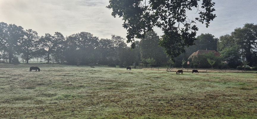 Wandeling over Trage Tocht Laren (GLD)