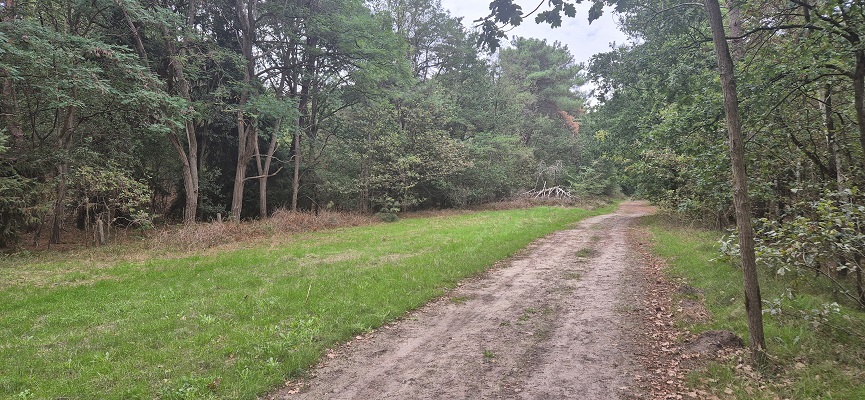 Wandeling over Trage Tocht Ossendrecht in de Abdijbossen