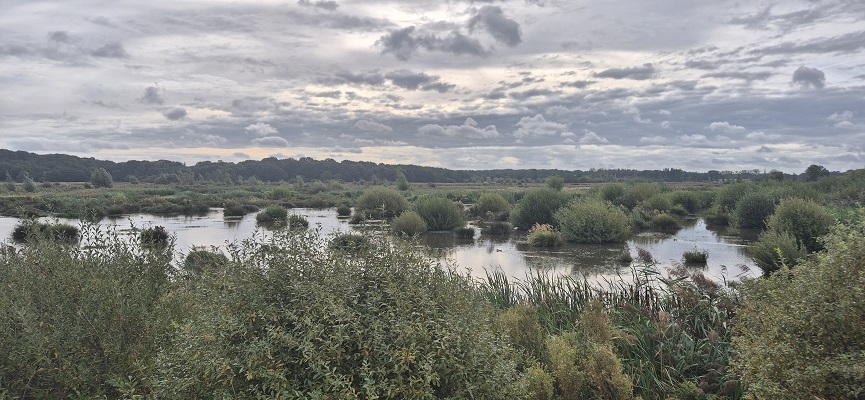 Wandeling over Trage Tocht Ossendrecht in de Noordpolder
