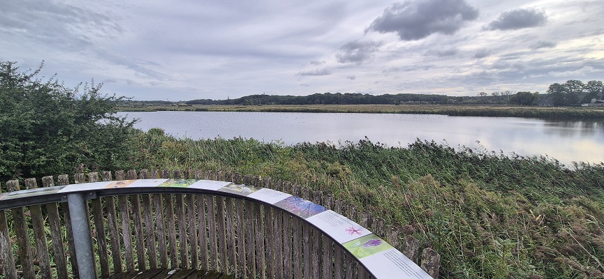 Wandeling over Trage Tocht Ossendrecht in de Noordpolder