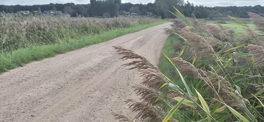 Wandeling over Trage Tocht Ossendrecht in de Noordpolder