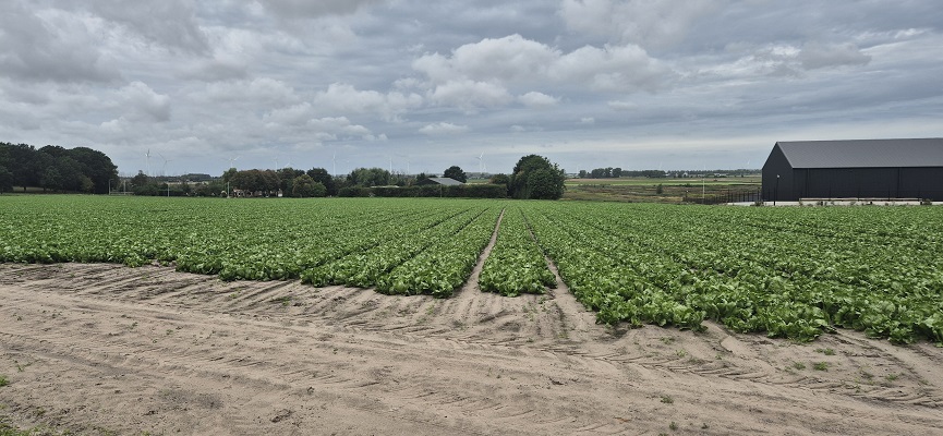 Wandeling over Trage Tocht Ossendrecht op de Brabantse Wal