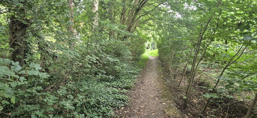 Wandeling over Trage Tocht Ossendrecht op het Kerkepaadje bij Hoogerheide