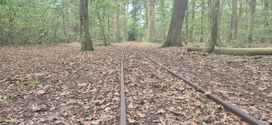 Wandeling over Trage Tocht Rijssen-Holten bij Leemspoor Rijssen