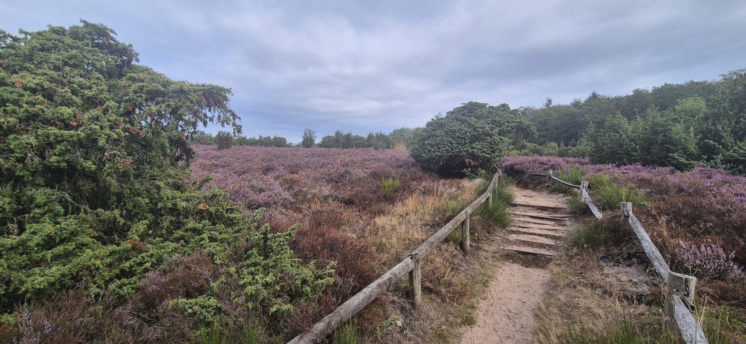 Wandeling over Trage Tocht Rijssen-Holten bij Hollands Schwarzwald