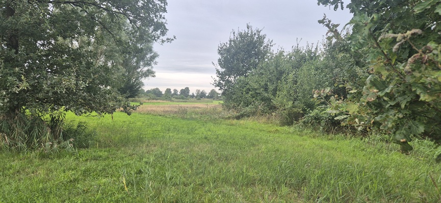 Wandeling over Trage Tocht Rijssen-Holten bij het Middelveen