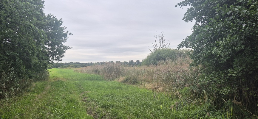 Wandeling over Trage Tocht Rijssen-Holten bij het Middelveen