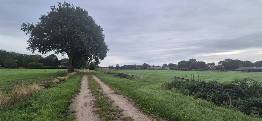 Wandeling over Trage Tocht Rijssen-Holten bij de Katoendijk