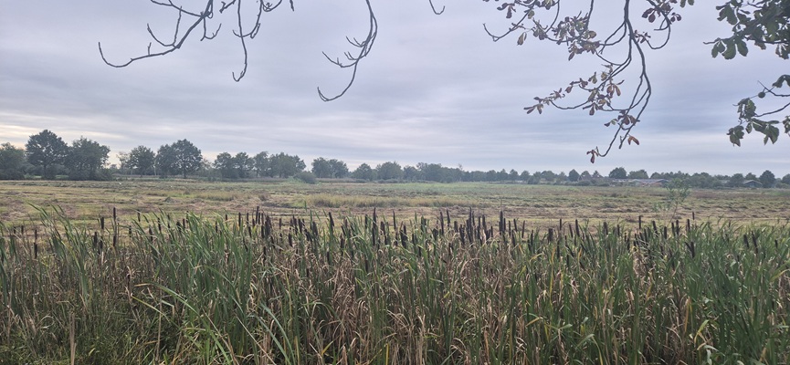 Wandeling over Trage Tocht Rijssen-Holten bij het Middelveen