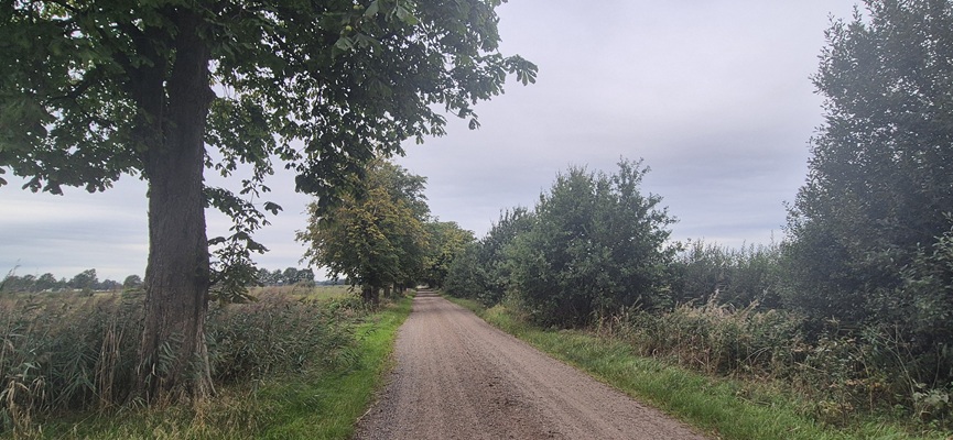 Wandeling over Trage Tocht Rijssen-Holten