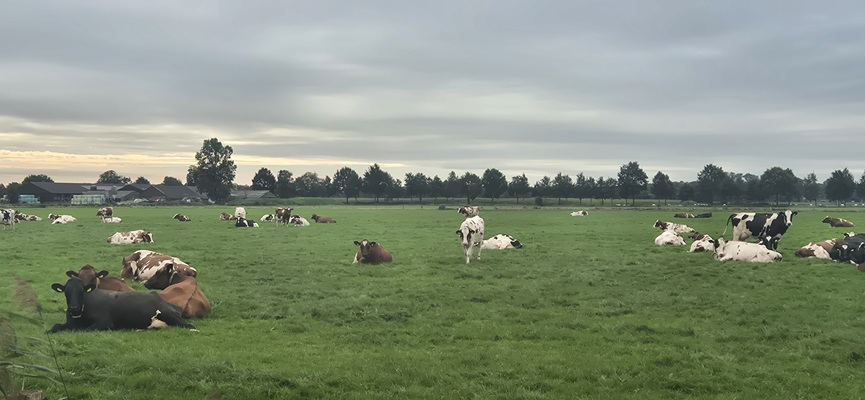 Wandeling over Trage Tocht Rijssen-Holten