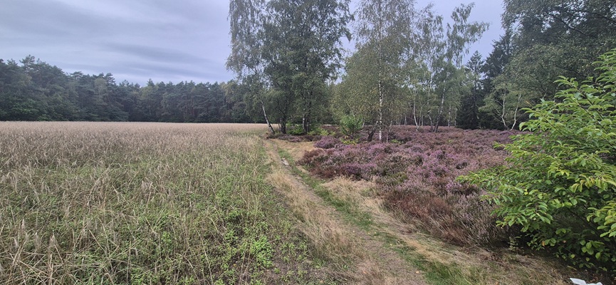 Wandeling over Trage Tocht Rijssen-Holten bij de Holterberg