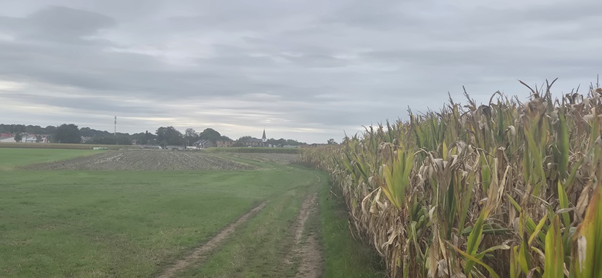 Wandeling over Trage Tocht Rijssen-Holten op de Holterenk