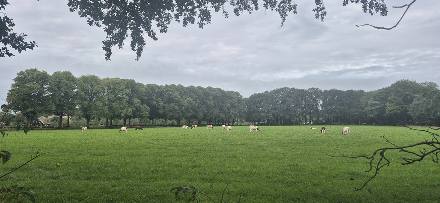 Wandeling over Trage Tocht Rijssen-Holten