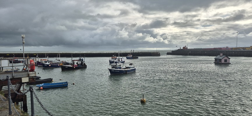 Wandeling Englisch Coast Path van Folkestone naar Dover