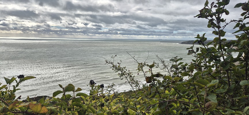 english-coast-path-folkestone-dover-29 Wandeling Englisch Coast Path van Folkestone naar Dover