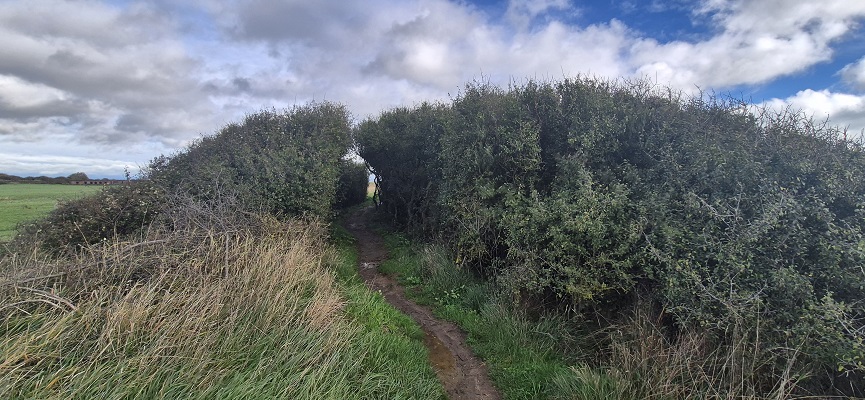 english-coast-path-folkestone-dover-37 Wandeling Englisch Coast Path van Folkestone naar Dover