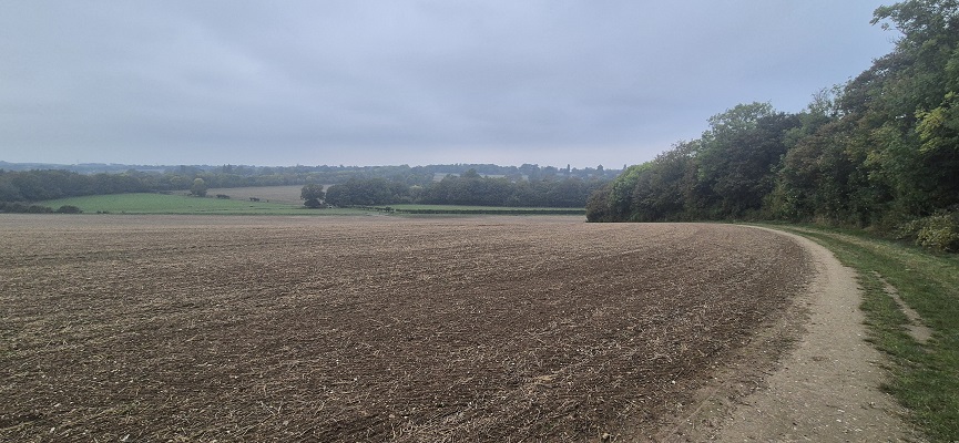 Wandeling over North Downs Way in Kent van Canterbury naar Shepherdswell