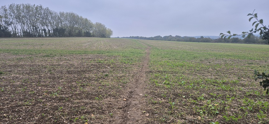 Wandeling over North Downs Way in Kent van Canterbury naar Shepherdswell