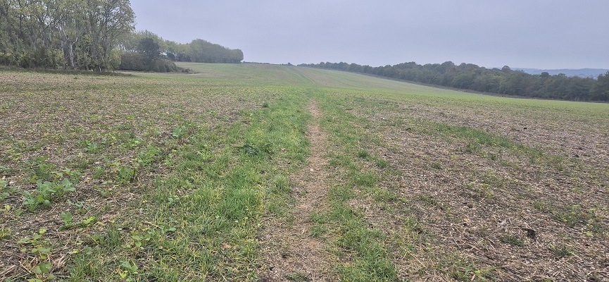 Wandeling over North Downs Way in Kent van Canterbury naar Shepherdswell