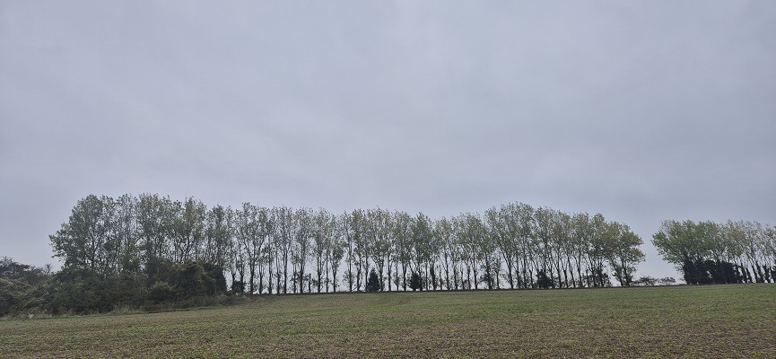 Wandeling over North Downs Way in Kent van Canterbury naar Shepherdswell