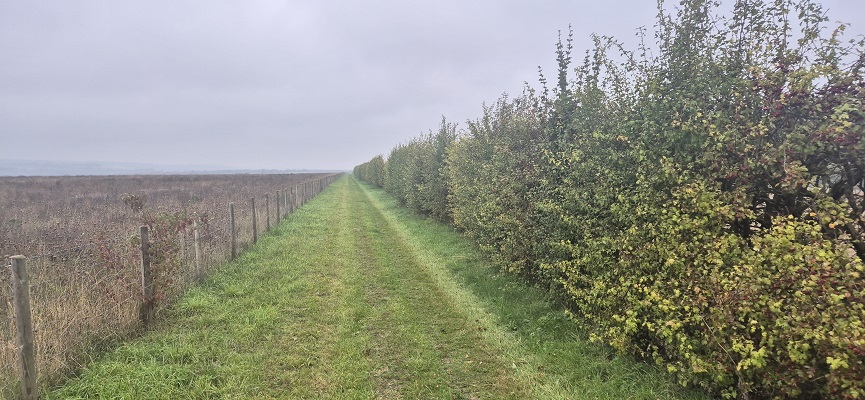 Wandeling over North Downs Way in Kent van Canterbury naar Shepherdswell
